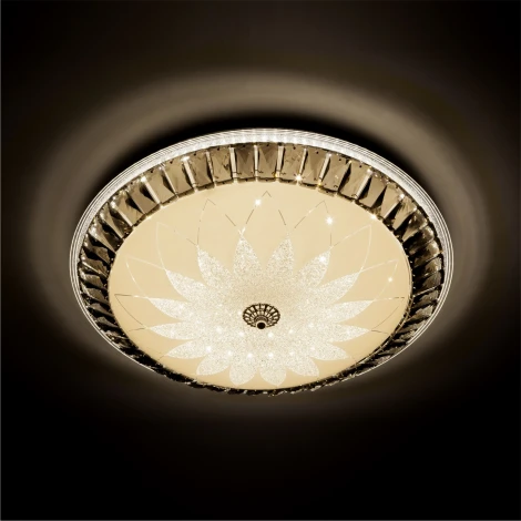 Потолочный светильник светодиодный с пультом с регулировкой цветовой температуры и яркости LED4U LED4U L1159-500 CR