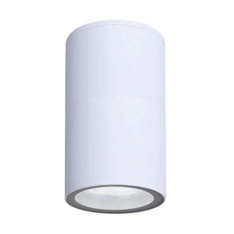 Потолочный уличный светильник Arte Lamp Mistero A3302PF-1WH (220V, круглые, IP65)