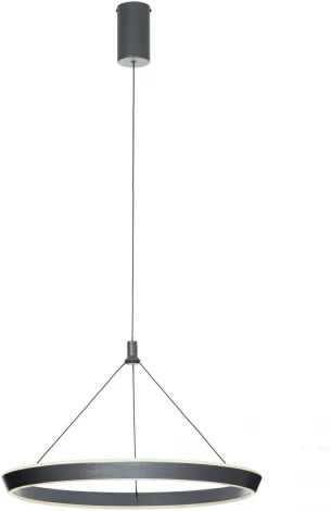 Подвесной светильник Citilux Tavi CL717012 (LED, 220V, на проводе, кольцо)