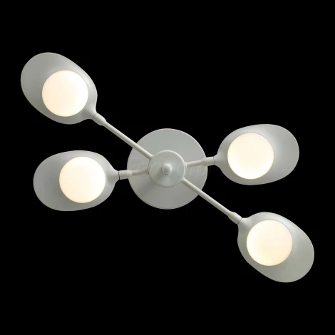 Потолочная люстра ST Luce Farfalo SL824.502.04