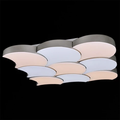 Потолочный светильник светодиодный с пультом Reluce 01218-0.3-09LED (220V)