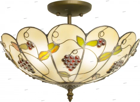 Snowlight 373 1300373/3CLA