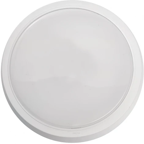 Настенно-потолочный светильник светодиодный Feron AL3020 41772 (220V, круглые)