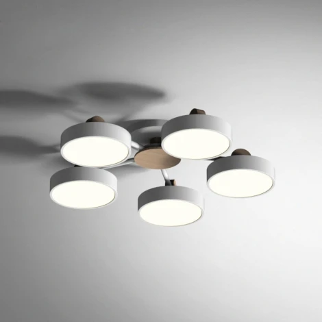 Потолочная люстра Move 5 Gray ImperiumLoft Move_01 (178249-26) (LED, 220V)