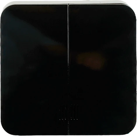 Выключатель двухклавишный с подсветкой (черный) Stekker София 49294