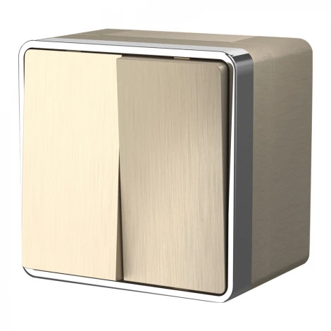 Выключатель двухклавишный влагозащищенный Gallant (шампань рифленый) Werkel W5020210 (a051045)