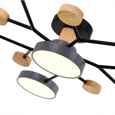 Потолочная люстра на штанге Evoluce Faema SLE6006-702-06