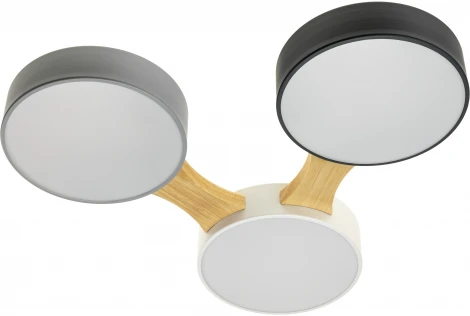 Потолочный светодиодный светильник Ritter Scandia 52070 2