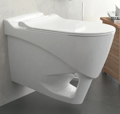 Унитаз подвесной Bien Organic OGKA052N1VP0W3000 с функцией биде