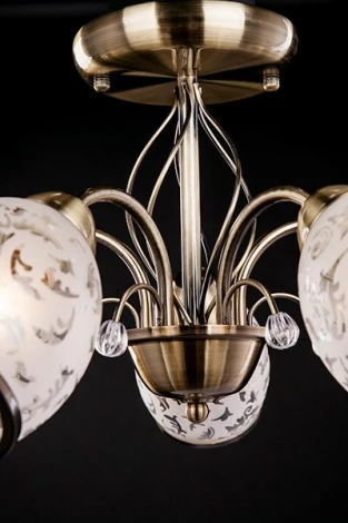 Потолочная люстра Eurosvet 30026 30026/5 античная бронза (220V, лепестки)