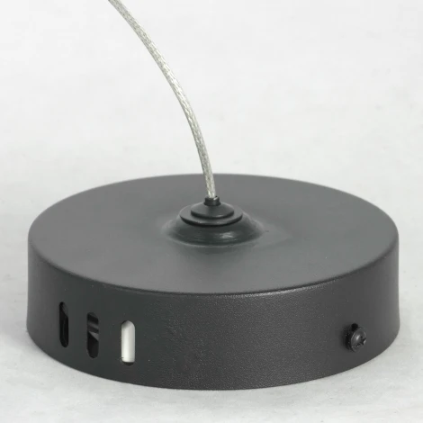 Подвесная люстра Lussole Loft Tagish LSP-8297
