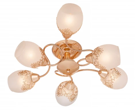 Потолочная люстра Silver Light Geeta 515.58.6