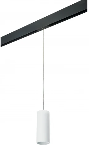 Трековый светильник однофазный 220V Lightstar Rullo PRORP486 (круглые)