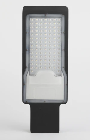 Уличный консольный светильник Эра SPP-503-0-50K-100 (LED, 220V, IP65)