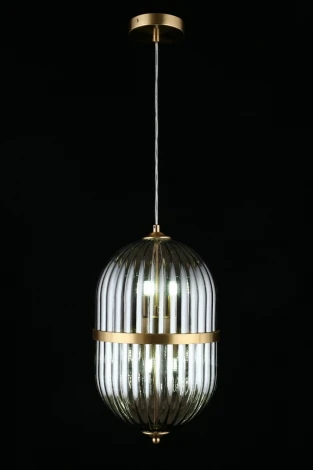 Подвесной светильник Aployt Ludovica APL.860.06.06 (220V, на проводе, круглые)