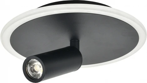 Настенно-потолочный светодиодный светильник 20046LED 20046SMA/01LED BK 20Вт, металл/акрил, черный (220V, круглые)