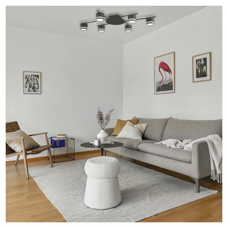 Потолочная люстра Lumion Berty 8362/6C черный, металл/акрил GX53 LED 6*7W 220V BERTY