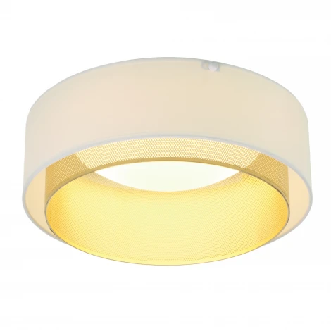 Потолочный светодиодный светильник круглый MyFar Anders MR2370-1CL (220V, круглые)