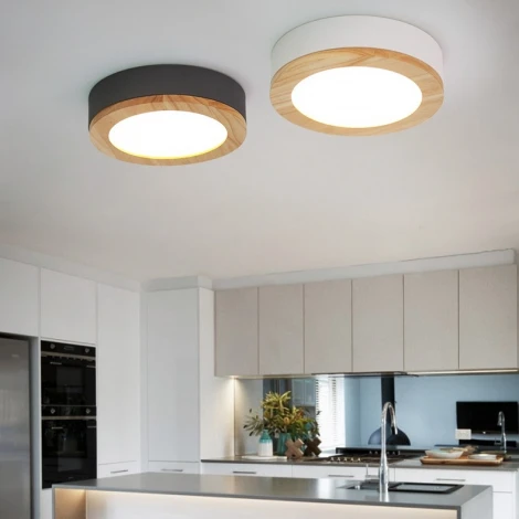 Потолочный светильник круглый Wudda D50 Серый ImperiumLoft Wudda01 (141163-26) (LED, 220V, круглые)