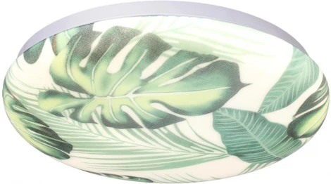 Настенно-потолочный светильник светодиодный Sonex Flori 7748/CL PALE SN пластик/белый/зеленый LED 30Вт 4000К D330 IP43 (220V, круглые)