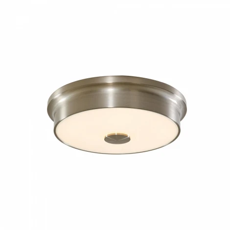 Потолочный светильник Citilux Фостер-2 CL706221