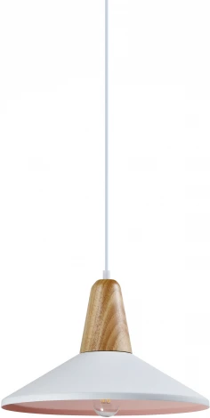 Подвесной светильник Moderli Luce V1570-1P