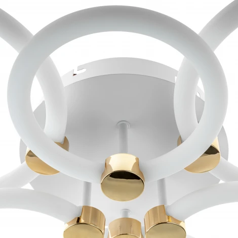 Потолочная люстра светодиодная с ДУ Ritter Ottimo 51613 6