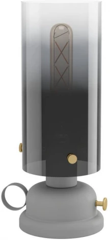 Настольная лампа Eglo Gargrave 43929 (220V, выключатель, круглые)