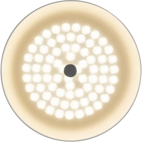 Потолочный светильник Freya Cells FR10013CL-L24W