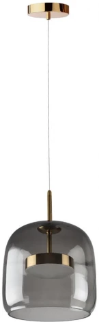 Подвесной светильник Loft IT Dauphin 10041A (LED, 220V, на проводе, круглые)