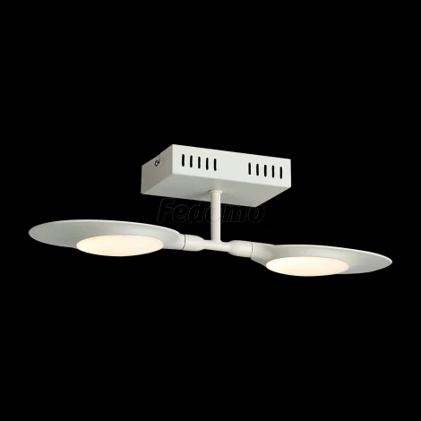 Настенно-потолочный светильник ST Luce Farfalo SL824.501.02