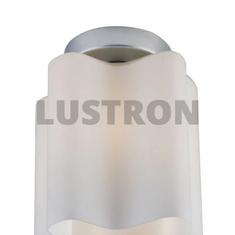 Потолочный светильник ST Luce Onde SL116.502.01