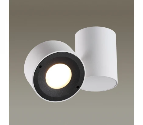 Накладной точечный светильник Odeon Light Tunasio 3588/1C