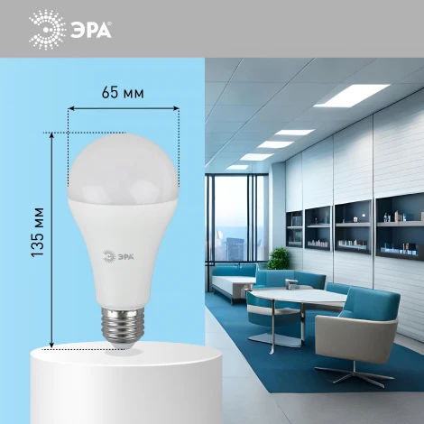 Лампочка светодиодная E27 25W ЭРА LED A65-25W-860-E27