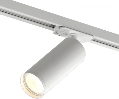 Трековый светильник Denkirs DK620 DK6202-WH (220V, круглые)