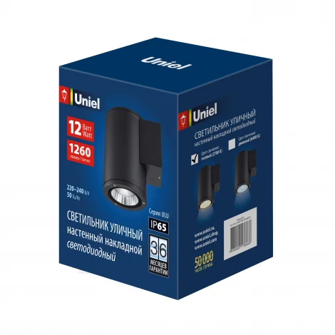 Архитектурная подсветка 2700K Uniel ULU-S21С-12W/2700K IP65 BLACK
