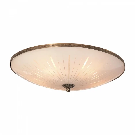 Потолочный светильник Citilux 912 CL912501