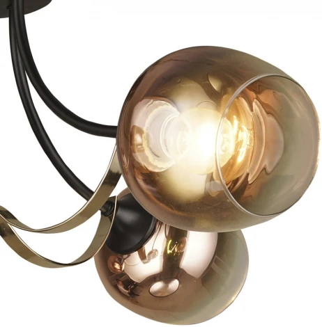 Потолочная люстра Wedo Light Limetta 66701.01.69.04