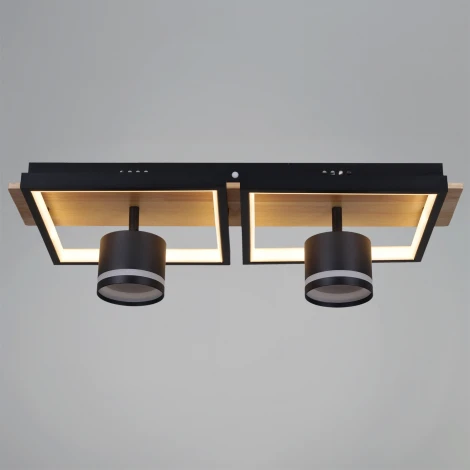 Потолочная люстра с пультом с регулировкой цветовой температуры, яркости и ночным режимом Reluce 19560-0.3-2+2 BK+WOOD