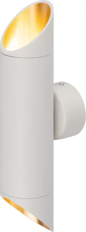 Настенный светильник ЭРА WL52 WH/GD (220V)