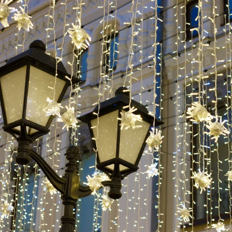 Гирлянда Eurosvet 400-101 белый