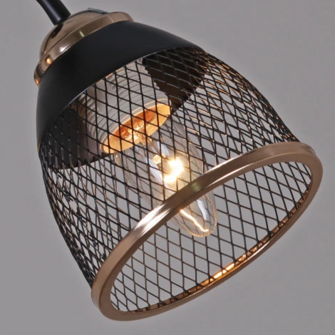 Потолочная люстра на штанге Reluce 01505-0.3-03 BK+FGD (220V)