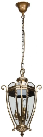 Уличный светильник подвесной Chiaro Мидос 802010703