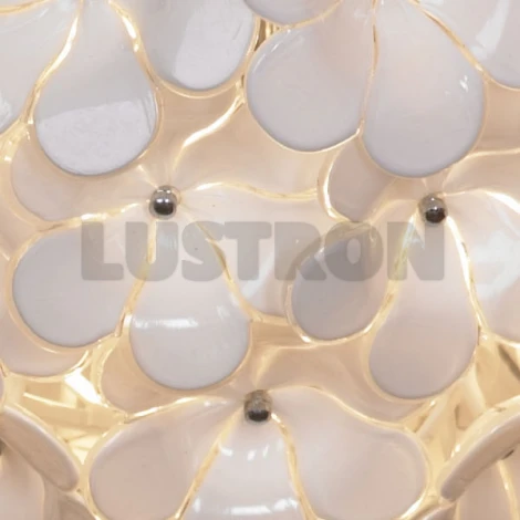Потолочная люстра Lussole Asinara LSA-5107-05