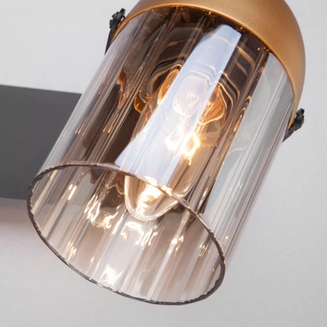 Спот Eurosvet Mars 20122/2 черный/золото