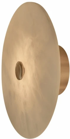 Настенный светильник Fluorite Fluorite FL1029-1W (LED, 220V, круглые)