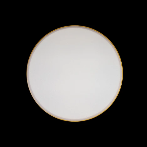 Потолочный светильник круглый Loft IT Axel 10002/24 Yellow (LED, 220V, круглые)