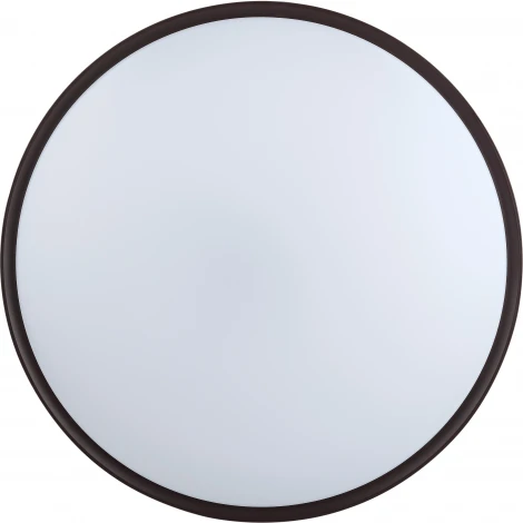 Потолочный светильник круглый светодиодный с пультом регулировкой цветовой температуры и яркости ЭРА SPB-6-70-RC Sance (220V, круглые)