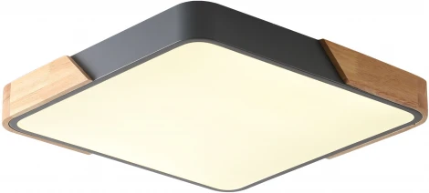 Потолочный светильник Zortes Alberro ZRS.01288.24 (LED, 220V)