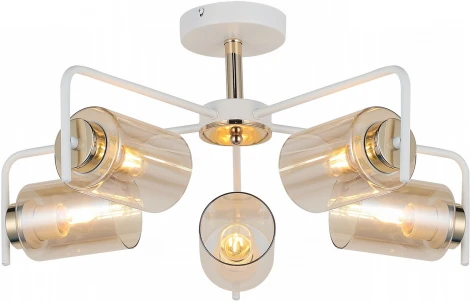 Потолочная люстра на штанге ILLUMICO IL8248-5COU-79 WH GD